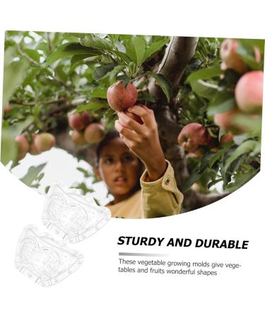 OFFSCH 2pcs Ingot Shaped Mold Vegetables Watermelon Growing Mold Vegetable Growing Molds Accessories Gourd - Buy Online on GoSupps.com