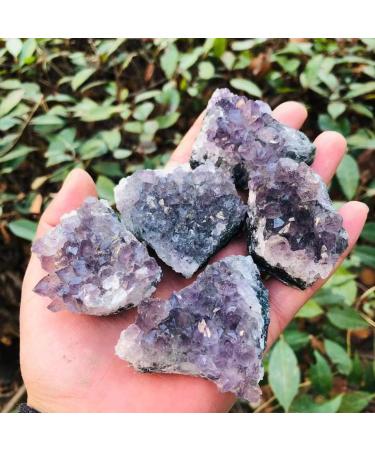 Natural Quartz Crystal Natural Clear and Purple Quartz Crystal Amethyst Cluster Specimen Stone 60G-500G Home Office Decor ningxiao (Color : 172g-190g 1pc) - Buy Online on GoSupps.com