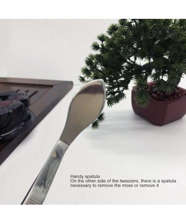Asixxsix Stainless Steel Bonsai Tweezers & Spatula | Professional Gardening Cooking & Lab Tools - Buy Online on GoSupps.com