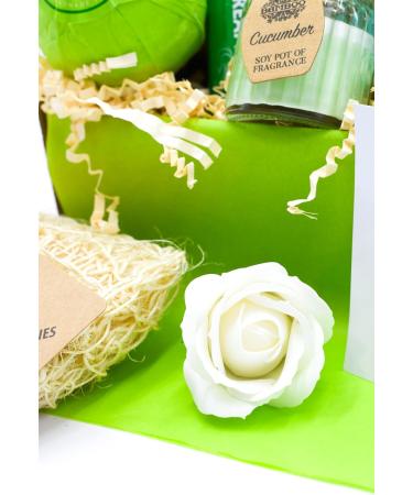 Pamper Hamper Gift Box Mother's Day Happy Birthday Thank You or Thinking of You Self Care Gift for Women by Inside the Box Gifts (Mint) - Buy Online on GoSupps.com