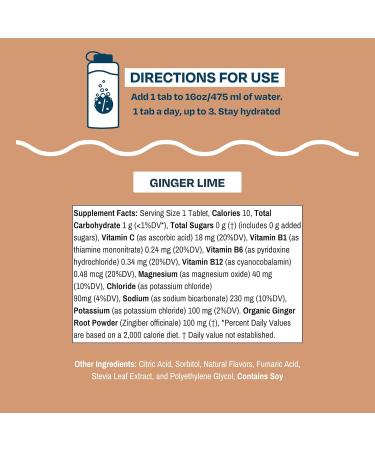 Ginger Lime Fizzy Electrolyte Sports Drink Tablets | 6 Tube Bundle | 0g Sugar | Natural Flavors | Summer Travel Essential | 60 Servings - Buy Online on GoSupps.com