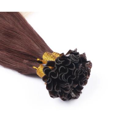 Shop High-Quality Keratin Bonding #2/60 Ombre U-Tip Hair Extensions - 50cm 150 Strands of 100% Remy Real Hair by Novon - 75g - Buy Online on GoSupps.com