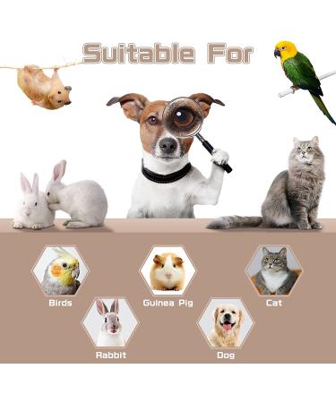 5-Pack Stainless Steel Bird Bowls with Clamp - Food and Water Dishes for Parakeets, Cockatiels, Budgies, Conures, Lovebirds, Macaw - Includes Dispenser Spoon - Buy Online on GoSupps.com