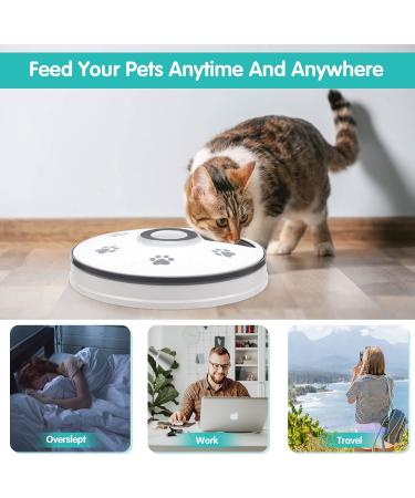 Chintu Automatic Cat Feeder - Programmable Pet Food Dispenser for Small Dogs - Portion Control, Timed Smart Feeding with Voice Reminder - Buy Online on GoSupps.com