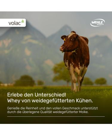 High-Quality Whey Protein Shake 1000g - 22g Protein EAA & BCAA - Wehle Sports Vanilla - Buy Online on GoSupps.com