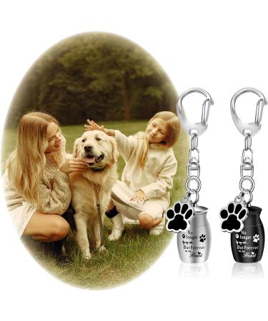 KALIONE 2 Pcs Pet Urns Keychain Dog Urns for Ashes Dogs Ashes Keepsake Stainless Steel Small Pet Urns for Dogs Cat Ashes Urns with Storage Bags Pet Cremation Jewelry Pend Paw Print Urn - Buy Online on GoSupps.com