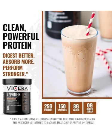 Chocolate Protein + Berry Flavor Creatine Collagen Powder A2/A2 Whey Casein Protein with Probiotics and Celtic Sea Salt (20 Servings) Creatine and Collagen Supplement Gluten Free (30 Servings) - Buy Online on GoSupps.com