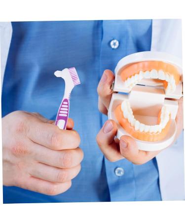 Garvalon 2-Piece Prosthesis Cleaning Brush Set | Denture & Braces Cleaning | Dual-Headed Brushes for Effective Cleaning - Buy Online on GoSupps.com