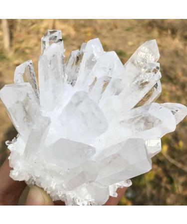 1pc Natural Rare White Quartz Crystal Cluster Specimen Stone Collection (Size : 80-90g) - Buy Online on GoSupps.com