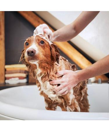 Iv San Bernard Trad Pek Conditioner 250 ml - Nourishing Dog Hair Care for All Breeds | International Shipping Available - Buy Online on GoSupps.com