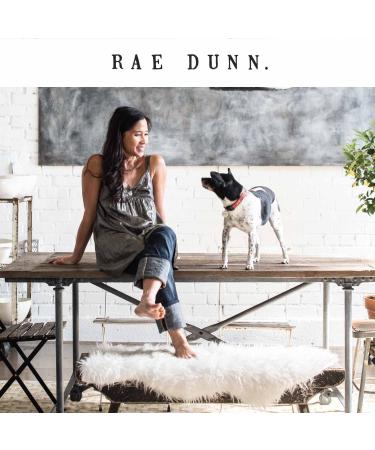 Rae Dunn Dog Wipes with Oatmeal, Aloe & Vitamin E - 150-Count Coconut Vanilla Paw Wipes | Pet Supplies for Grooming - Buy Online on GoSupps.com