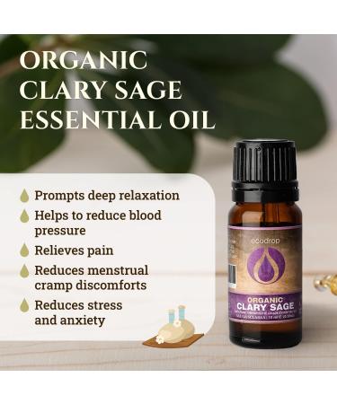 Ecodrop Clary Sage Essential Oil - 10ml Bottle | Pure & Natural Therapeutic Grade Salvia Sclarea Oil - Organic Aromatherapy for Stress Relief, Digestion & Mood | Massage & Bath Oil - Buy Online on GoSupps.com