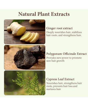 Ginger Anti-hair loss shampoo Anti-hair loss shampoo 3 boxes Hair regrowth shampoo Used to improve dry and frizzy hair (1 massage comb) - Buy Online on GoSupps.com