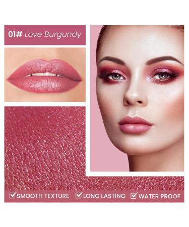 Metallic Shine Lipstick - High Impact Vegan Lipcolor | Moisturizing Full-Coverage Matte Lipstick (01# Love Burgundy - Buy Online on GoSupps.com