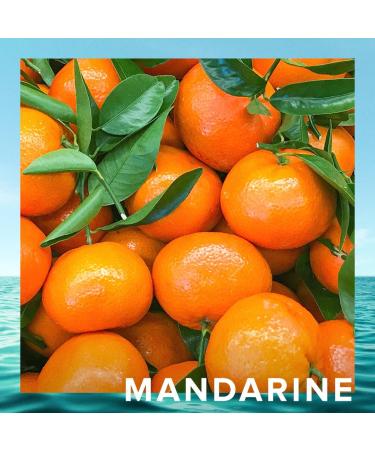 CRISTIANO RONALDO Eau De Toilette Cologne Scent for Men - With Pineapple Sorbet Mandarin and Patchouli - From Cristiano Ronaldo's Original Men's Fragrance Collection - 1.7 oz 1.7 Fl Oz (Pack of 1) - Buy Online on GoSupps.com