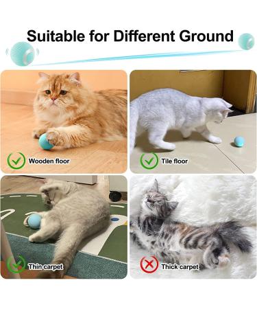 Havenfly Interactive Cat Ball Toy Intelligent Indoor Automatic Moving Ball Puzzle Dispel Boredom USB Charging Pet Toy with Light Fun Present for Kitten (Blue) Blue+roll - Buy Online on GoSupps.com