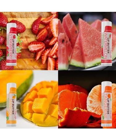 CHAP-LIP Lip Balm 48 Ct | Fruit Flavors, Cocoa Butter & Coconut Oil | Moisturizing Vitamin E Therapy - Buy Online on GoSupps.com