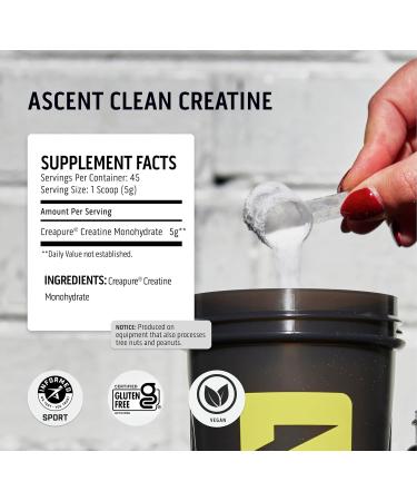 Ascent Clean Creatine Monohydrate Powder | 5G Creapure Creatine Supplement | Unflavored | 45 Servings - International Shipping - Buy Online on GoSupps.com