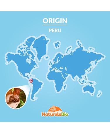 Organic Raw Cacao Nibs 200g - Pure Peruvian Theobroma Cacao Plant Source. High in Magnesium, Potassium, and Iron. NaturaleBio Nibs 200g - Pack of 1 - Buy Online on GoSupps.com