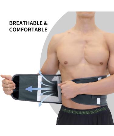 PROIRON Lower Back Support Belt - Lumbar Support Brace for Pain Relief, Sciatica, Scoliosis - Adjustable Straps, Breathable Mesh - Sizes M/L/XL - Waist 65cm to 117cm - L (Waist Size 33-40) - Buy Online on GoSupps.com