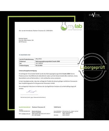 Creatin 3000 Premium - 400g Powder | 3400mg Creatine Monohydrate | Workout Booster | 100% Pure | Halal & Vegan - Buy Online on GoSupps.com