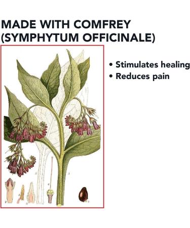 Strive Joint Pain Relief & Muscle Recovery Cream | 2 Oz Jar | Made in USA - Buy Online on GoSupps.com