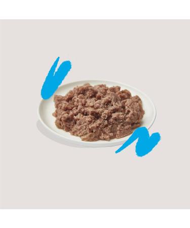 Edgard & Cooper Grain-Free Wet Cat Food - Salmon & Chicken 85g x 16 | Organic Healthy Delicious Adult Cat Pat  - Buy Online on GoSupps.com
