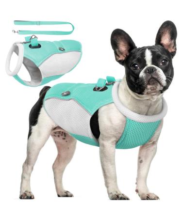 Hjyokuso cool vest dogs cooling vest for dogs with dishes for summer dogs cool vest for small medium and large dogs cooling jacket for dog cooling jacket for activities outside training S blue