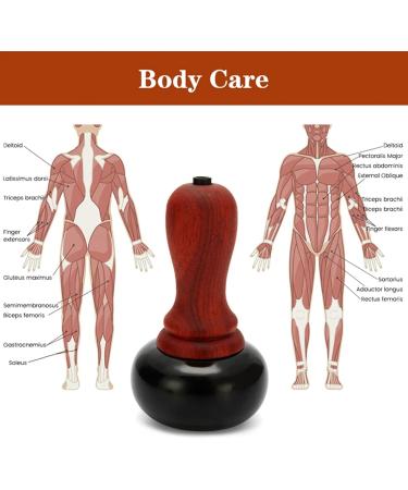 ZXCVB Electric Heating Bian Stone Gua Sha Massage Tool - Hot Compress Physiotherapy for Back & Face - Brass Moxibustion Device - Buy Online on GoSupps.com