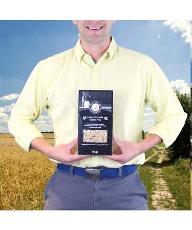 Porridge Multi Seed Mix By Ludlow Nut - A Creamy & Crunchy Porridge - A Luxury Blend Of UK-Grown Jumbo & Rolled Oats Sunflower Seed Pumpkin Seeds Linseed Sesame & Chia Seeds (2 x 650g) - Buy Online on GoSupps.com