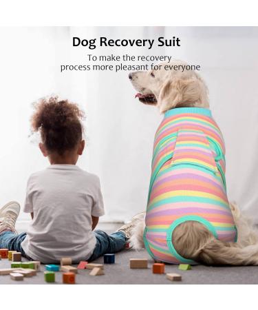 Kuoser Dog Body Suit - Breathable Post-Op Protection for Dogs & Cats | Leakage Prevention & Alternative Collar | Purple Stripes - Buy Online on GoSupps.com