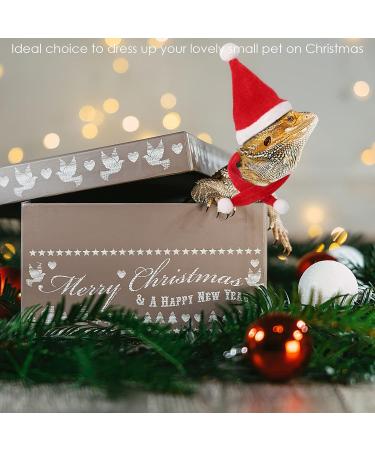 Petyoung Reptiles Hat & Scarf Set for Lizards Bearded Dragons Geckos - Christmas Hat Shell Red Leash & Dishes - Perfect Gift for Small Animals - Buy Online on GoSupps.com