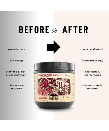 Earth Fed Muscle Stammpede Pre Workout Dragon Fruit Punch Clean Energy Focus Muscle Support No Fillers or Artificial Flavors 30 Servings - Buy Online on GoSupps.com