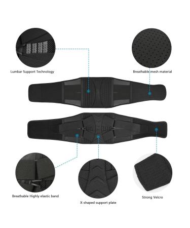 Back Support Belt for Men & Women - Lightweight Breathable Lumbar Brace for Pain Relief Sciatica & Herniated Disc - One Size Fits All - Buy Online on GoSupps.com