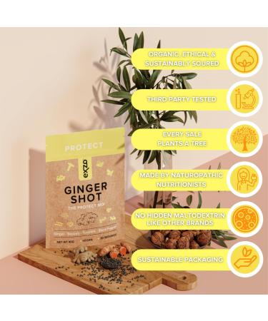 Ginger Shot with Turmeric and Black Pepper Powder Vitamin C and Zinc - 30 Shots - Buy Online on GoSupps.com