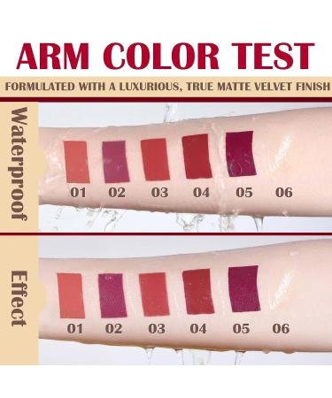 DAGEDA Wine Lip Tint Set - 5 Matte Lipsticks + 1 Lip Plumper | Long Lasting Waterproof Liquid Lipstick | Velvety Lip Gloss Gift Kit - Color C - Buy Online on GoSupps.com