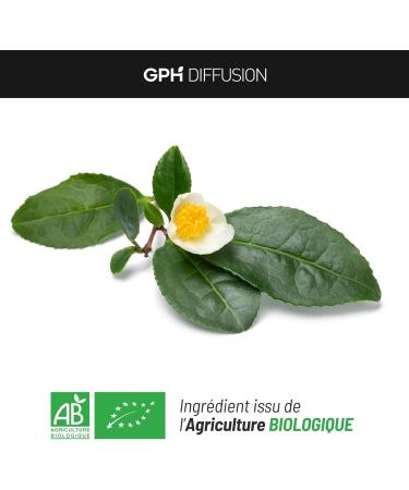 Organic Green Tea 250 mg - 100 Vegetable Capsules - Buy Online on GoSupps.com