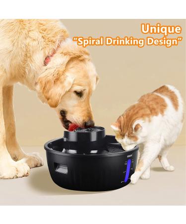 Large Dog Water Fountain | 1.5 Gallon Dispenser for Pets | BPA-Free | Super Quiet | 2 Replacement Filters | SIBAYS - Buy Online on GoSupps.com