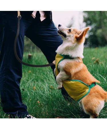 Stylish Adjustable Nylon Dog Leash for Large Dogs | Double Reinforced with Brown Leather Elements Perfect for Medium & Large Breeds - Buy Online on GoSupps.com
