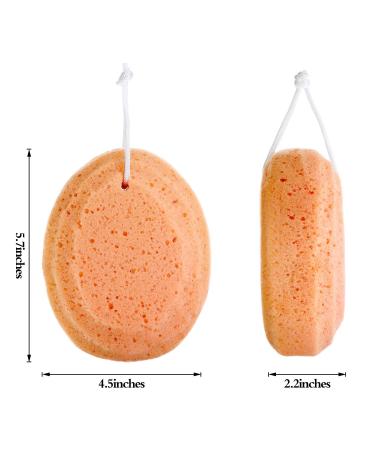 4-Piece Soft Bath Sponge Set for Exfoliating Shower Foam - Soothing Body Sponge for Bathroom - Buy Online on GoSupps.com