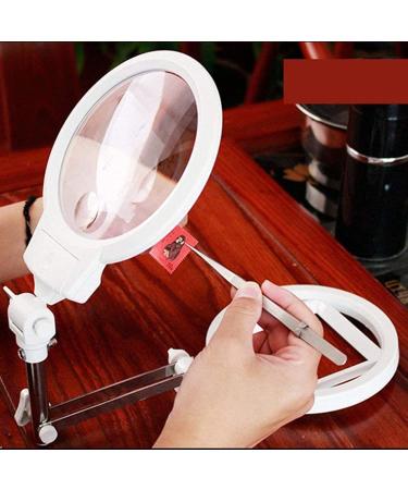 Illuminated Magnifying Glass Desktop with Led Light 2X 6X for Reading Crafts Repair Magnifier Lofty Ambition - Buy Online on GoSupps.com