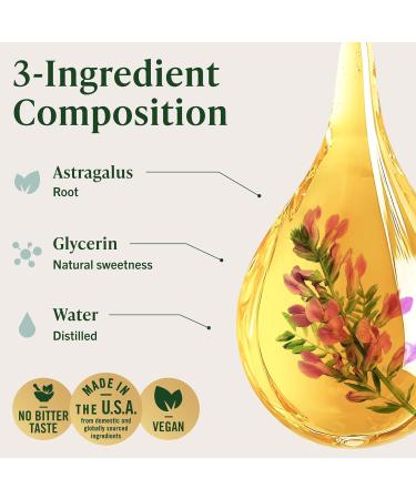 HERBAMAMA Astragalus Root Tincture - Vegan Immune Support with Astragalus Extract Drops - Non-GMO Alcohol & Sugar-Free Liquid Supplement 56-Day Supply 4 Fl Oz (Pack of 1) - Buy Online on GoSupps.com