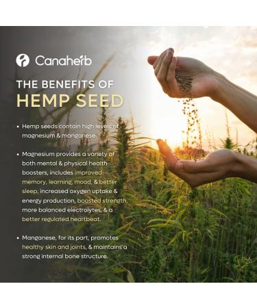 Canaherb All Natural Herbal-Based PAIN RELIEF Topical Stick | Relieves aches and pains of muscles and joints associated with backache strains and arthritis | 50g - Buy Online on GoSupps.com