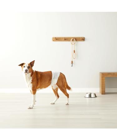 Amazon Basics Disposable Dog Diapers for Male Dogs - Large White 50-Pack - Best International Shipping Available - Buy Online on GoSupps.com