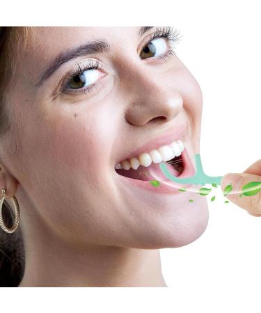 WLSHYF Sustainable Dental Pick Organizer | Automatic Dental Floss Dispenser with 10 Floss Picks | Eco-Friendly Tooth Care Solution for Adults (Purple & Green) - Buy Online on GoSupps.com