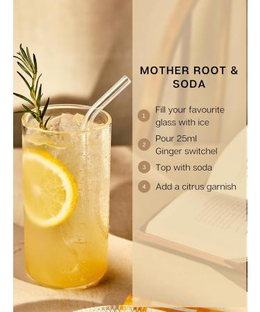 Mother Root Ginger Switchel 480ml: Award-Winning Alcohol-Free Aperitif with Ginger & ACV for 20 Drinks | Bold Flavors | Mix with Tonic/Soda - Buy Online on GoSupps.com