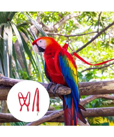 Felenny Bird Dishes & Leash - Adjustable Outdoor Accessories for Scarlet Macaw Sun Conure and Nymphensittich - Anti-Bite Protection (Large Red) - Buy Online on GoSupps.com