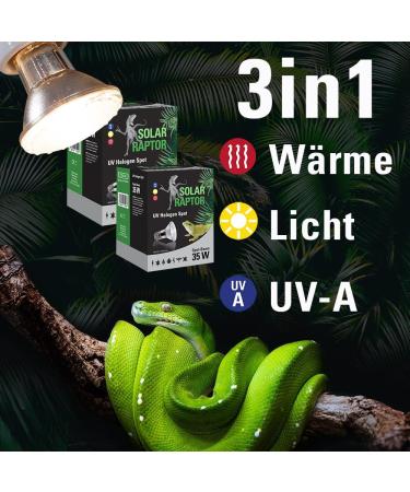 Buy SOLAR RAPTOR UV Halogen Spot 50W - Premium Reptile Heat Lamp for Terrariums | Daylight Spectrum - Buy Online on GoSupps.com
