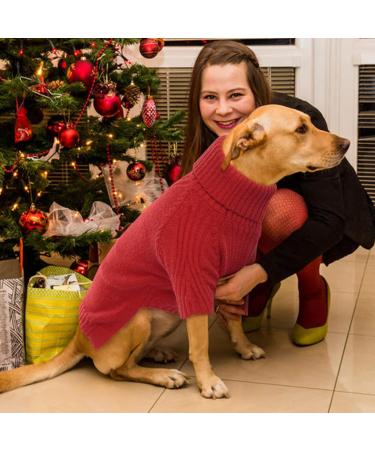Iecoii Warm Turtleneck Dog Sweater - Cozy Winter Clothing for Small Medium & Large Dogs - Red XXXX-Large - Buy Online on GoSupps.com