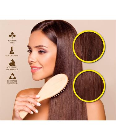Organic Hair Solution: Shampoo Conditioner & Edge Growth Oil with Aloe Vera Avocado Castor Tea Tree Argan Jojoba & Peppermint for Stronger Thicker Longer Hair - Nourish & Strengthen - Buy Online on GoSupps.com